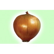 Hasat Soğan Tohumu - 1 kg