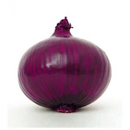 Mor Soğan Tohumu - 25 Adet Tohum