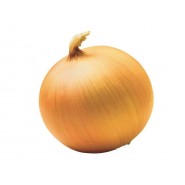 Songur Soğan Tohumu - 1 Kg