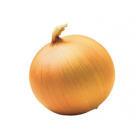 Songur Soğan Tohumu - 1 Kg