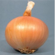Tan 8 Soğan Tohumu - 1 Kg