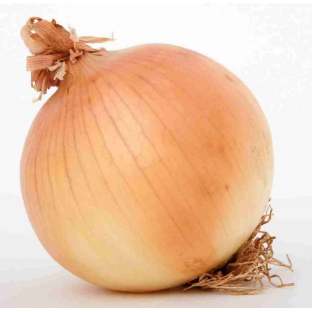 Texsa Early Grano Soğan Tohumu - 1 Kg Texsa Early Grano Soğan Tohumu - 1 Kg