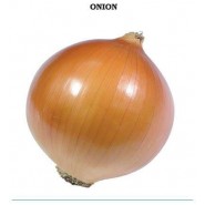 Valanciana Soğan Tohumu - 1 kg