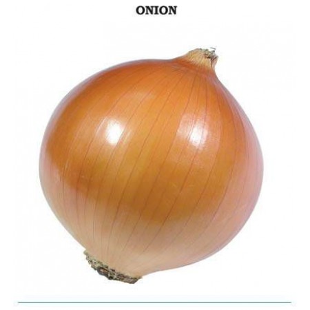 Valanciana Soğan Tohumu - 1 kg
