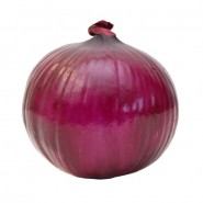 Zambak ( Çorum Moru ) Soğan Tohumu - 1 kg
