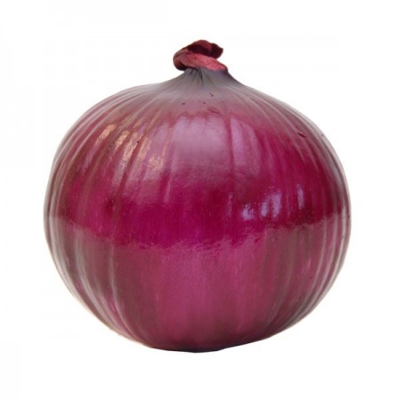 Zambak ( Çorum Moru ) Soğan Tohumu - 1 kg