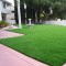Çim Tohumu 6 Mix Grass Karışımı - 10 kg