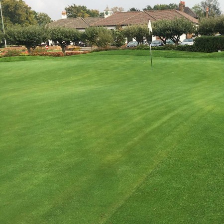 Golf Mix Grass Çim Tohumu - 1 Kg