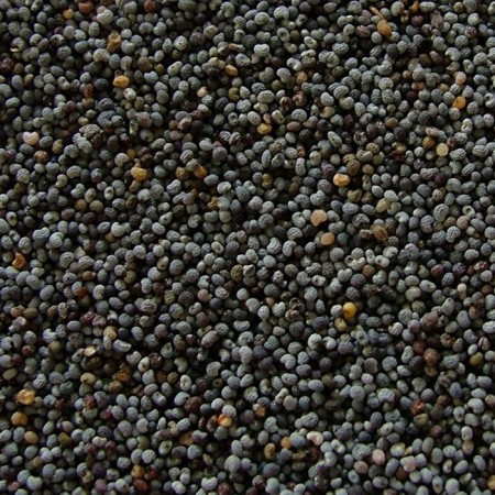Mavi Haşhaş Tohumu - 1 kg