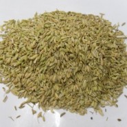 Rezene Tohumu - 25 kg