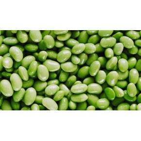 Soya Fasulyesi Tohumu - 10 Kg 