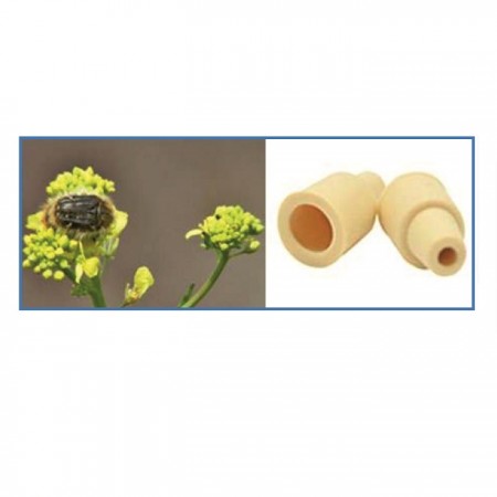 Bakla Zınnı Feromonu (Cezbedicisi)