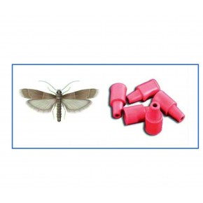 İncir Güvesi Feromonu