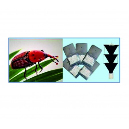 Kırmızı Palmiye Böceği Feromon Tuzağı