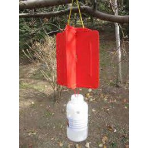 Kırmızı Yapışkan Tuzak