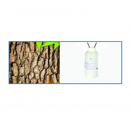 Meşe Kabuk Böceği Feromonu