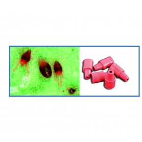 Turunçgil Güvesi Feromon Tuzağı