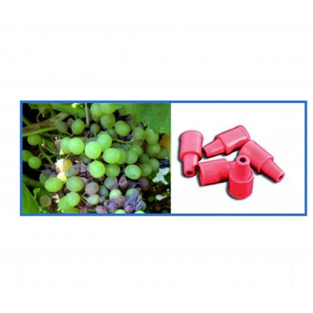 Üzüm Güvesi Feromonu Üzüm Güvesi Feromonu