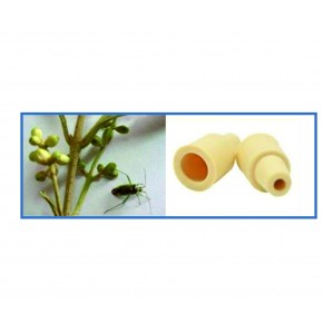 Zeytin Çiçek Sap Sokanı Feromonu Zeytin Çiçek Sap Sokanı Feromonu