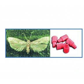 Zeytin Güvesi Feromonu 