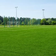 Futbol Sahası Çim Tohumu - 50 Kg