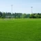 Futbol Sahası Çim Tohumu - 1 Kg