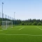 Futbol Sahası Çim Tohumu - 10 Kg