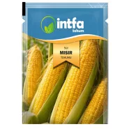 Süt Mısır Tohumu - 10 Gr