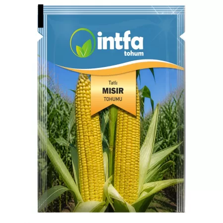 Tatlı Mısır Tohumu - 25 Gr
