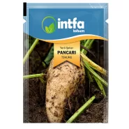 Yerli Şeker Pancarı Tohumu - 25 Gr
