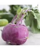 Hibrit Alabaş Tohumu