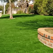Coria Grass Basmaya Dayanıklı Çim Tohumu - 100 Kg