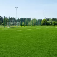 Futbol Sahası Çim Tohumu - 50 Kg