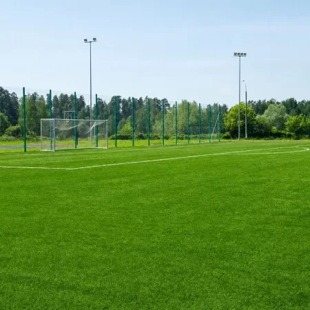 Futbol Sahası Çim Tohumu - 20 Kg