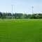 Futbol Sahası Çim Tohumu - 1 Kg