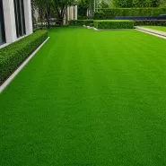 POA Çim Tohumu 10 Kg