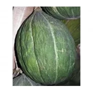 Doğal Ankara Mühürlü Kavun Tohumu - 10 gr 