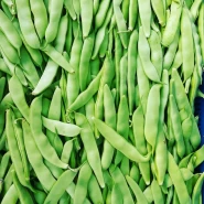 Doğal Ayşe Kadın Fasulye Tohumu - 10 gr