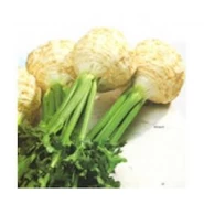 Doğal Beyazbaş Kereviz Tohumu - 250 gr 