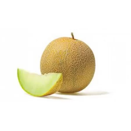 Doğal Galia Kavun Tohumu - 100 gr