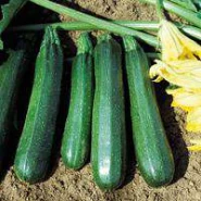 Doğal Kara Kabak Tohumu - 250 gr