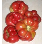 Doğal Köy Domatesi Tohumu - 10 gr