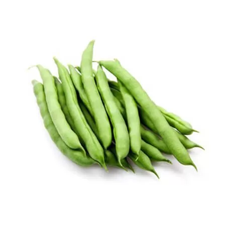 Doğal Oturak Fasulye Tohumu - 500 Gr