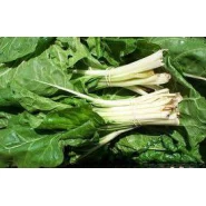 Hobi Doğal Pazı Tohumu - 100 Adet