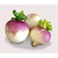 Doğal Şalgam Tohumu - 100 gr