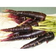 Doğal Şalgamlık Havuç Tohumu - 25 gr