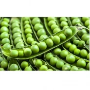 Doğal Sanayilik Bezelye Tohumu - 100 gr