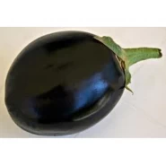 Doğal Topan Patlıcan Tohumu - 50 Adet