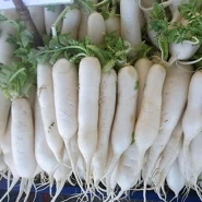 Doğal Uzun Beyaz Turp Tohumu - 100 Adet