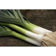 Doğal Uzunbacak Pırasa Tohumu - 100 gr 